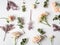 Nature creative composition of various painted leaves, eucalyptus and roses on a white background. Top view