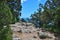 Nature Crimea - stones and pine trees on Mount Koshka