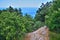 Nature Crimea - stones and pine trees on Mount Koshka