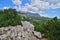 Nature Crimea - stones and pine trees on Mount Koshka