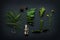 Nature details - tree bark, cones, marsh marigold flower, pine tree branches and fern leaf