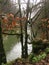 Nature energy - poetic mist over river with mossy trees, France