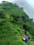 Nature Enjoyment - Friends with Rajgadh fort tracking