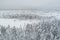 Nature of Estonia in winter, snow-covered forest in the Viru swamp, photo from a drone