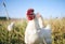 Nature, farming and chickens in field with blue sky in green countryside, free range agriculture and sunshine. Poultry