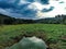 Nature field sky vegetation lake