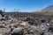 Nature after fire. Black burnt landscape of national park of Teide