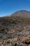 Nature after fire. Black burnt landscape of national park of Teide