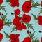 Nature floral poppy pattern vector image. Red petal nature plants isolated on blue background. Botany spring summer