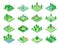 Nature forest elements, plants symbol and green trees for city 3d isometric game map. Isolated park tree vector icons