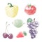 Nature fresh colorful stippling fruit isolated vector pepper tom