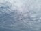 Nature, in front of a stormy sky cloud, stratus cumulus rain clouds. Anxious mood. For background