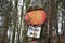 Nature gets everything back, a fused driving banquet board in a forest in Austria