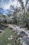 Nature ghost forest on a canyon de los Chivos