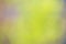 Nature gradient backdrop with bright sunlight. Abstract green blurred background. Ecology concept for your graphic