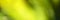 Nature gradient backdrop with bright sunlight. Abstract green blurred background. Ecology concept for your graphic design, banner