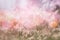 Nature grass flower field in soft focus , pink pastel background