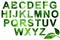 Nature green alphabet on white