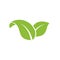 nature green leaf element vector icon. green leaves vector symbol