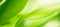 Nature of green leaf. environment ecology greenery wallpaper