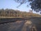 Nature green railway line in India.