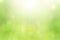 Nature green spring with sunlight bokeh background and wooden plank