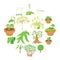 Nature green symbols icons set, cartoon style