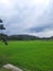 Nature grenaries farm clouds plants hills grenaries view peaceful beautiful scenery natural scenery multiple Shades of green