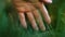 Nature harmony green grass man hand gentle touch