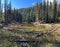 A nature hike to Moose Lake near Jasper, Alberta in Canada Jasper National Park on a sunny day