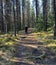 A nature hike to Moose Lake near Jasper, Alberta in Canada Jasper National Park on a sunny day