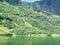 nature hike in the woods, the water of the fjord, Sunny day background