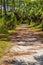 Nature Hiking Path in Florida