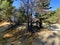 nature hiking trail mountain clearing walking path pine trees sunny day hike