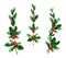 Nature holly decor set