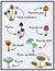 Nature illustration. Natural materials. Forest postcard. Assorted mushrooms. Edible and poisonous mushrooms.