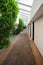 Nature inside the building, corridor and foliage