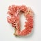 Nature-inspired Coral Wood Letter D On White Background