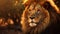 Nature-inspired Imagery: The Lion\\\'s Intense Gaze In Soft Light