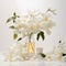 Nature-inspired Imagery: White Flowers In A Vase On Marble