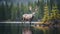 Nature-inspired Photo Of A Deer By A Lake