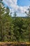 The nature of Karelia.Panorama of Karelian nature