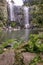 Nature in Kerikeri, New Zealand: mossy rocks and ferns at Wairoa Stream (Te Wairere) waterfall, Northland, North Island, NZ