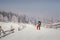 Nature kissed by snow, and a lovely female skier