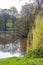 Nature lake in the forest Rosental in Leipzig, Germany in spring with ducks and old trees