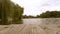 Nature, lake trees waves, willow green leaves tree.