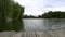 Nature, lake trees waves, willow green leaves tree.