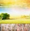 Nature landscape background with sunlight, tree,sky and wooden table