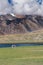 Nature landscape, cows grazing grass in pasture with lake and mountain on India highland