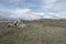 Nature landscape of field with rock formation